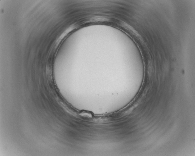 X0000070831321200607142331