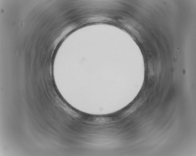 X0000070831322200607142331