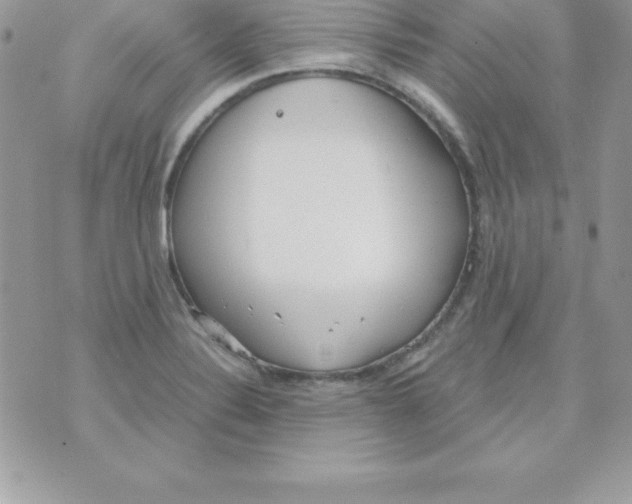 X0000070831324200607142331