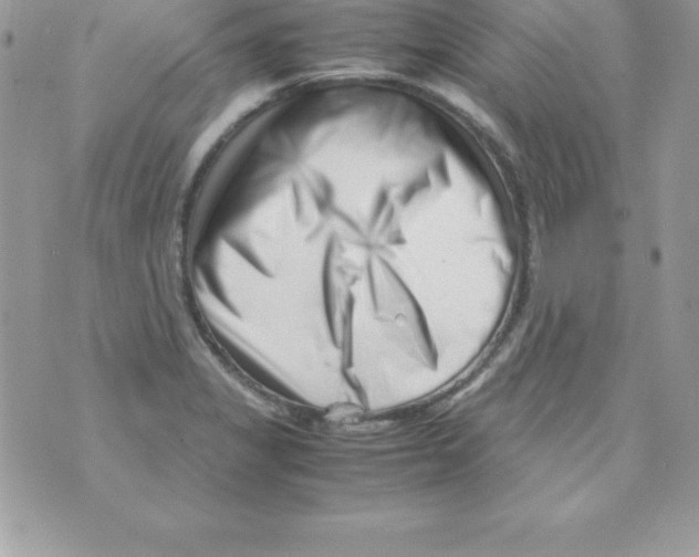 X0000070831325200607142331