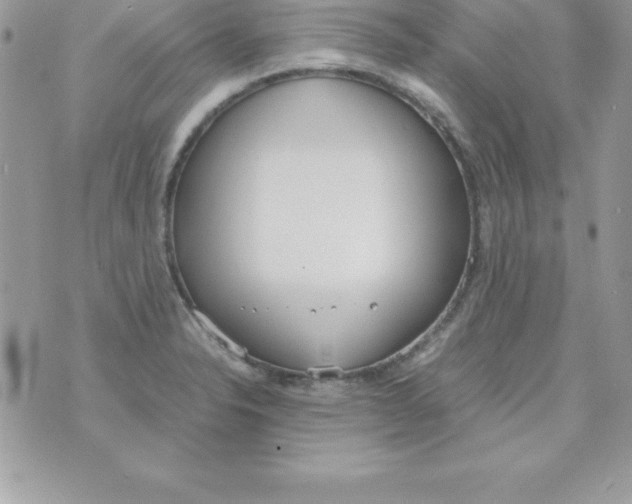 X0000070831326200607142331