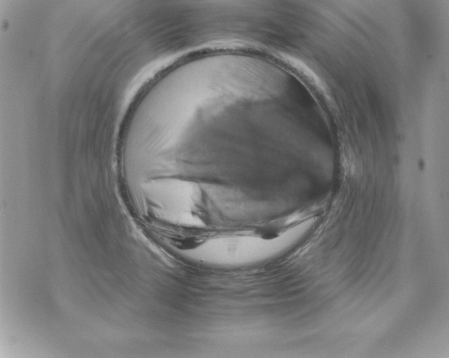 X0000070831327200607142331