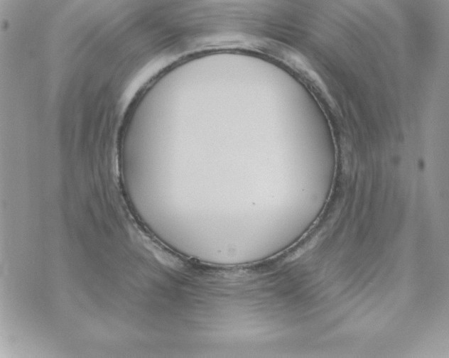 X0000070831328200607142331