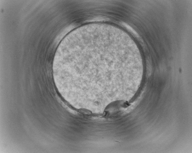 X0000070831329200607142331