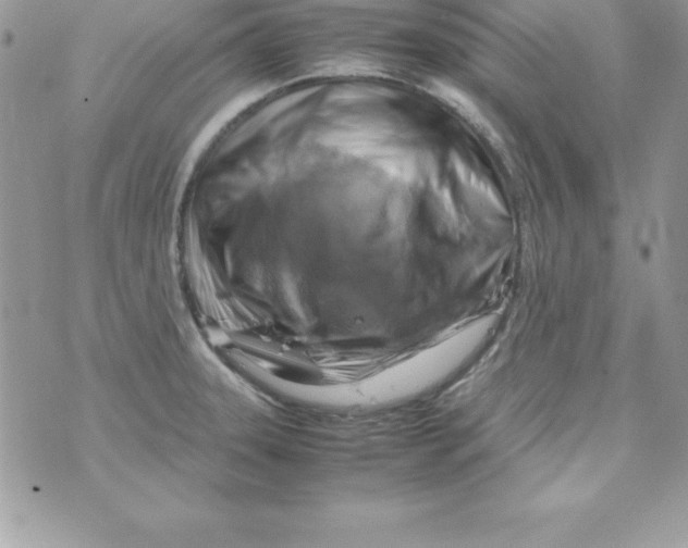 X0000070831331200607142331