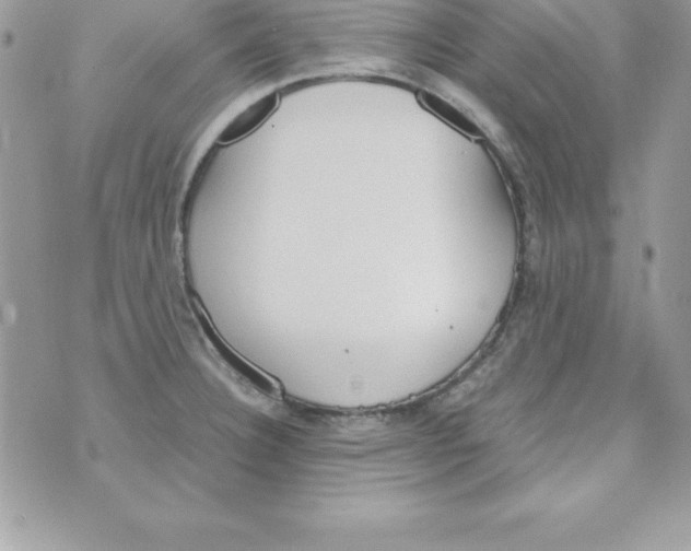 X0000070831332200607142331