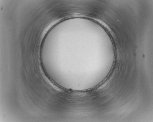 X0000070831333200607142331