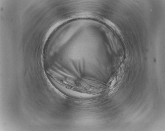 X0000070831334200607142331