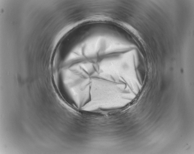 X0000070831335200607142331