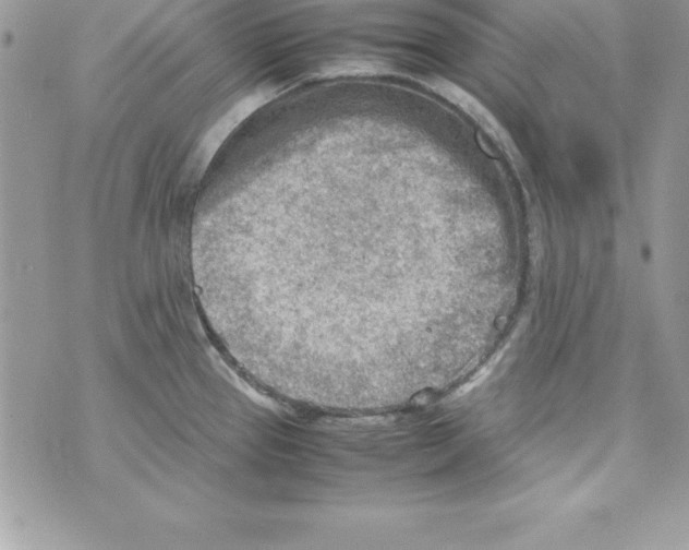 X0000070831337200607142331