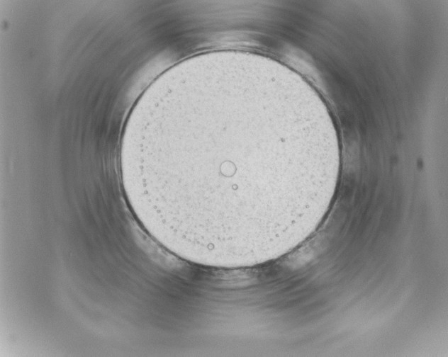 X0000070831338200607142331