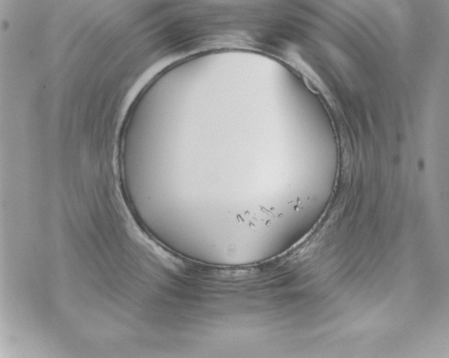 X0000070831339200607142331