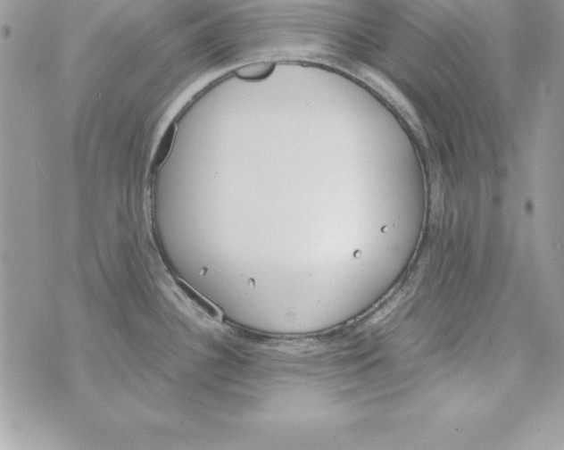 X0000070831340200607142331