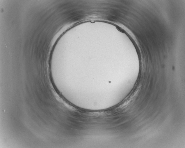 X0000070831341200607142331