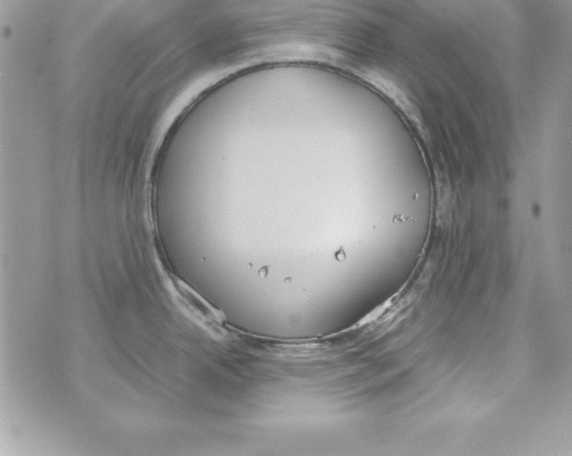 X0000070831342200607142331