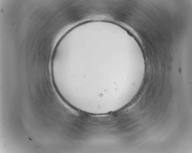 X0000070831343200607142331