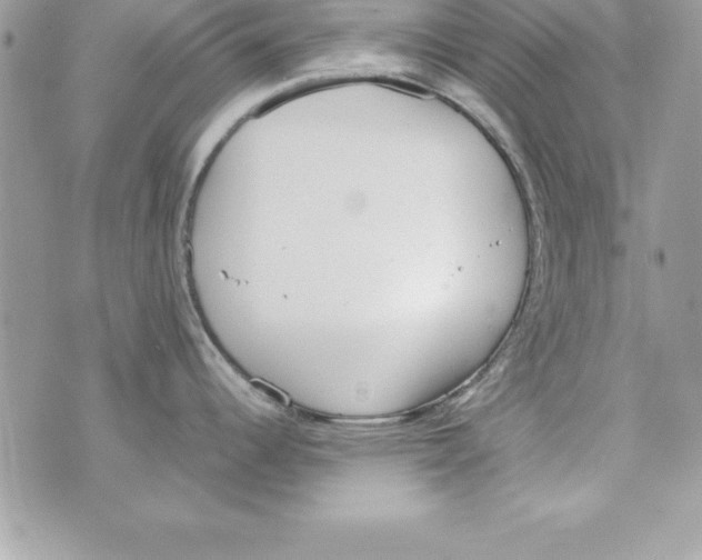 X0000070831344200607142331