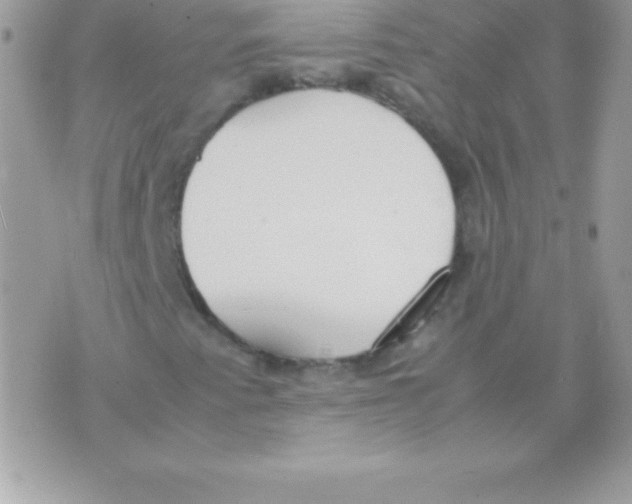 X0000070831345200607142330