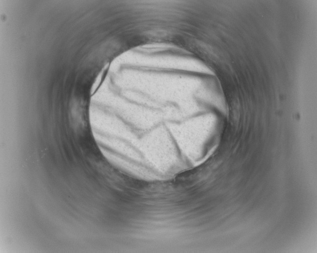 X0000070831346200607142330