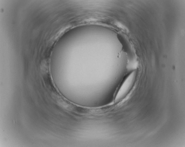 X0000070831353200607142330