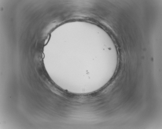 X0000070831355200607142330