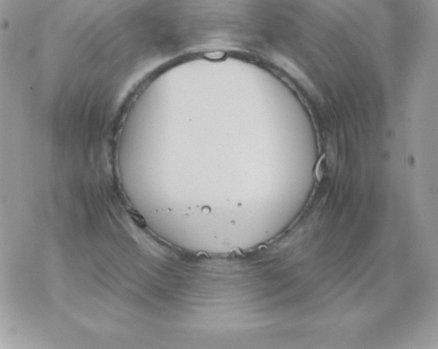 X0000070831356200607142330