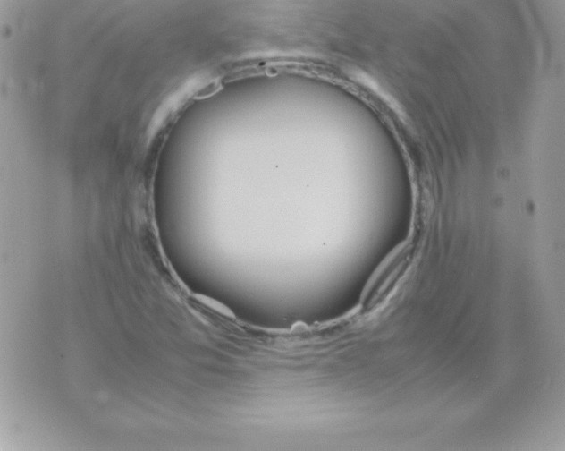 X0000070831357200607142330