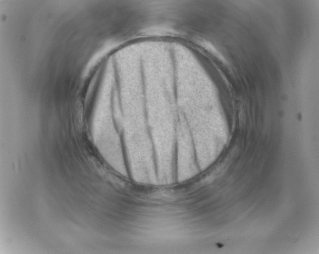 X0000070831358200607142330