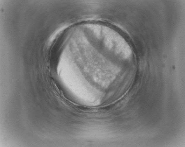 X0000070831359200607142330