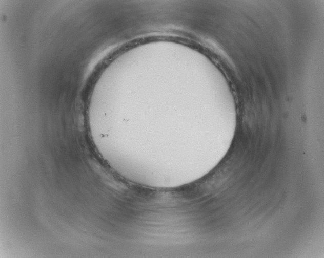 X0000070831360200607142330