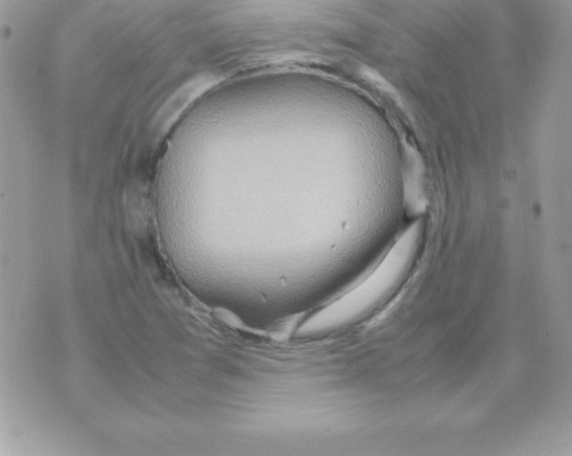 X0000070831361200607142330