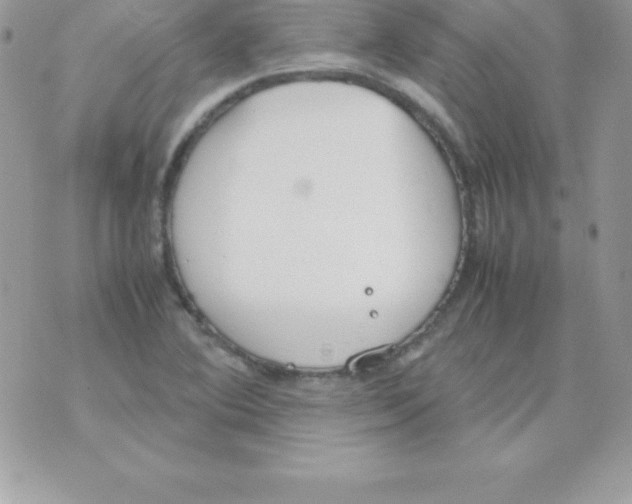 X0000070831364200607142330