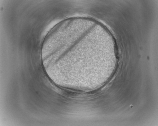 X0000070831367200607142330