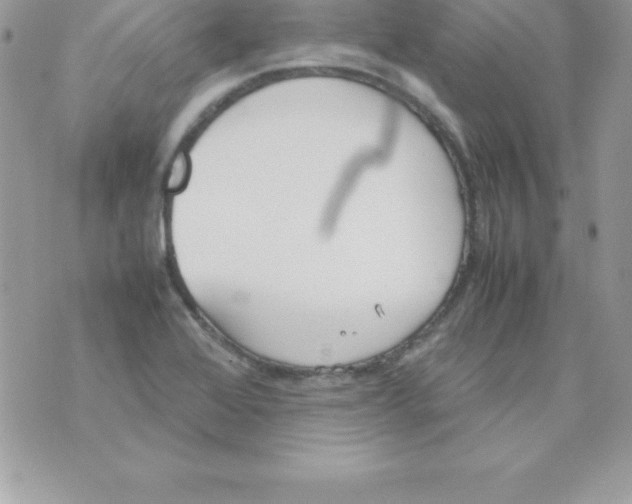 X0000070831368200607142330