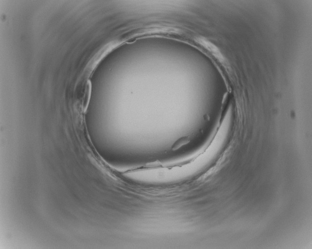 X0000070831369200607142330