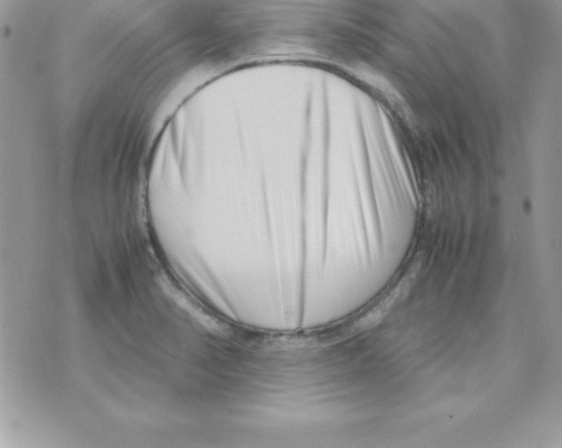 X0000070831374200607142330