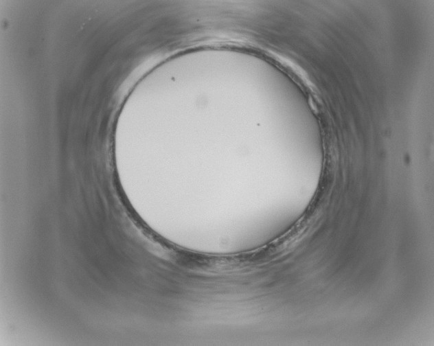 X0000070831375200607142330