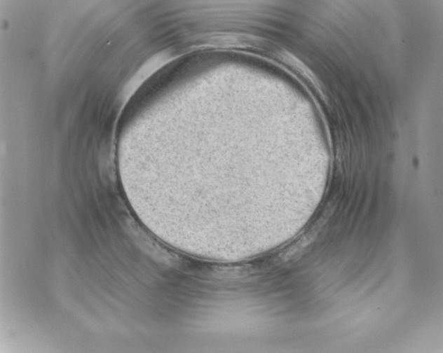 X0000070831378200607142330