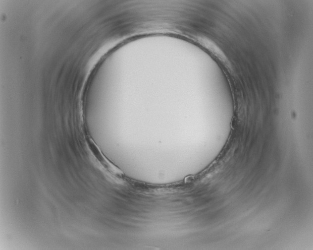 X0000070831380200607142330