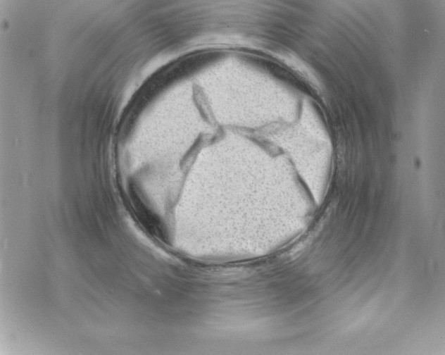 X0000070831382200607142330