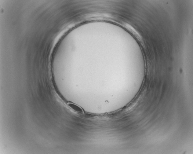 X0000070831384200607142330