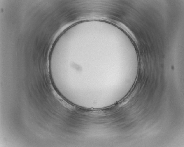 X0000070831388200607142330