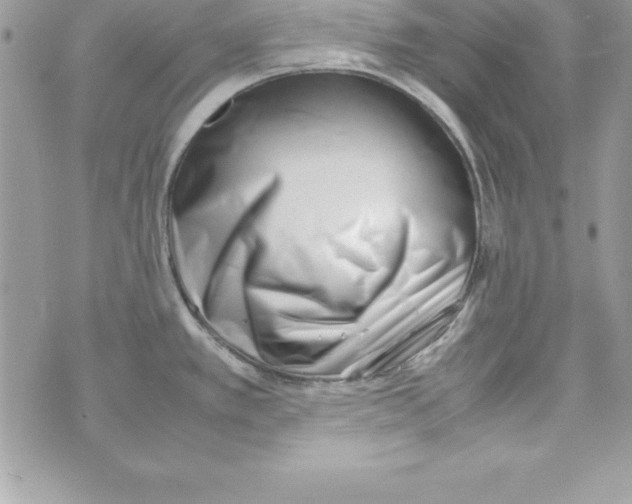 X0000070831389200607142330