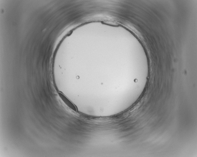 X0000070831392200607142330