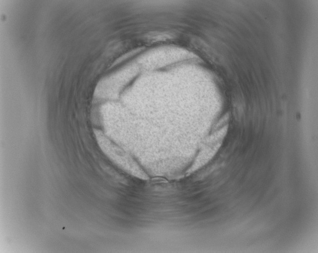 X0000070831393200607142329