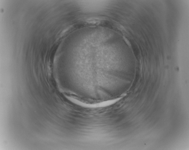 X0000070831394200607142329