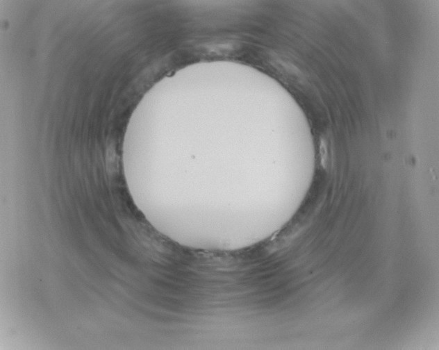 X0000070831395200607142329