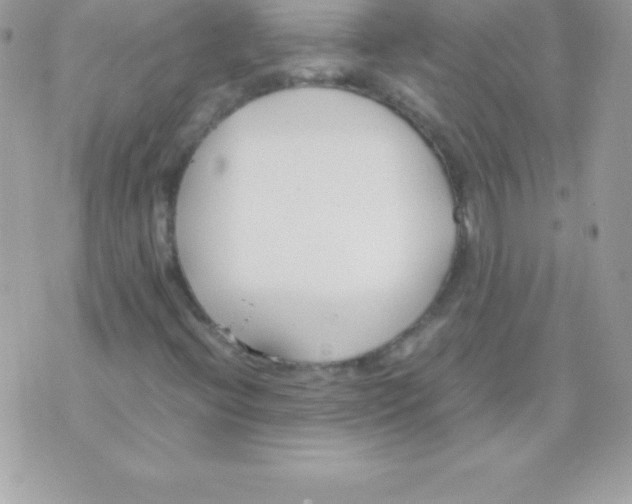 X0000070831396200607142329