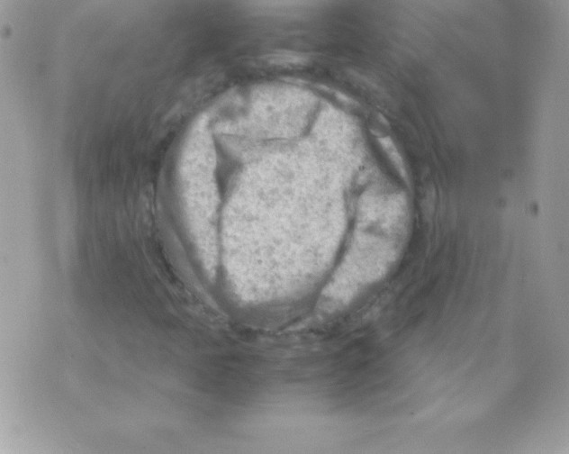 X0000070831397200607142329