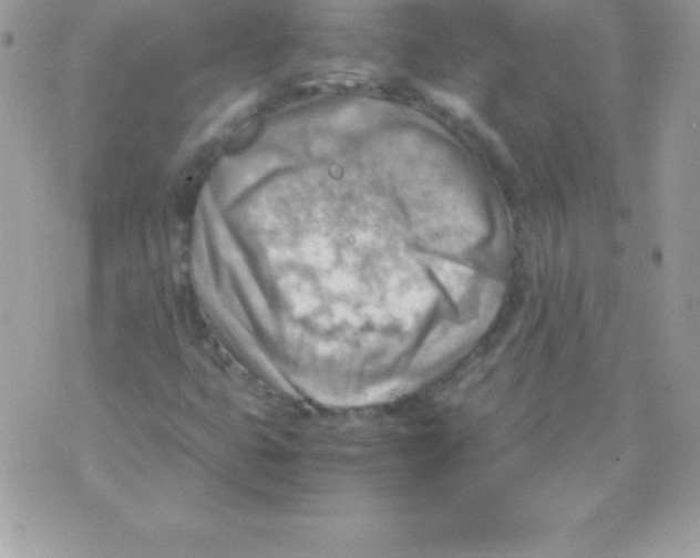 X0000070831399200607142329